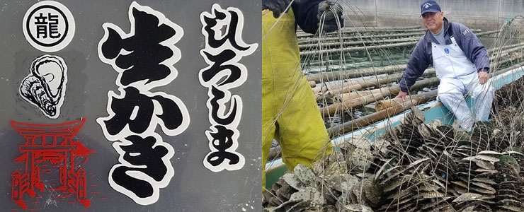 広島のブランド牡蠣「かき小町」